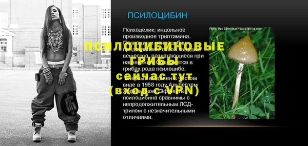 Альфа ПВП Алексин