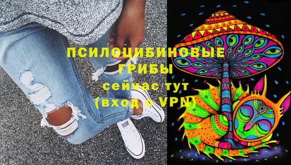 круглые Абаза