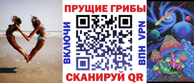 Псилоцибиновые грибы Psilocybine cubensis Ермолино